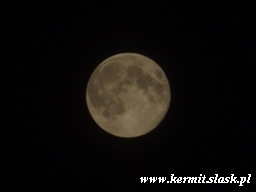 Księżyc w pełni, 2011.09.12
