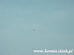 Spotting Pyrzowice 2008.09.06