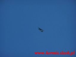 Spadochroniarze w Chudowie, An-12