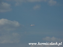 Spotting Gliwice 2009.08.16
