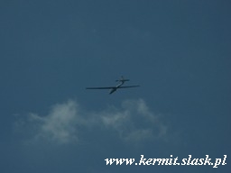 Spotting Gliwice 2009.08.16