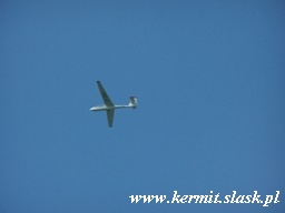 Spotting Gliwice 2009.08.16