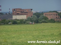 Spotting Gliwice 2009.08.16