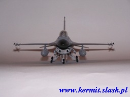 F-16 Fighting Falcon
