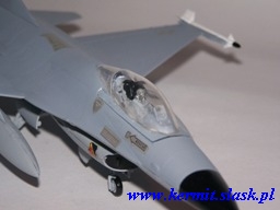 F-16 Fighting Falcon