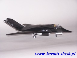 F-117A Nighthawk "Fatal Attraction"