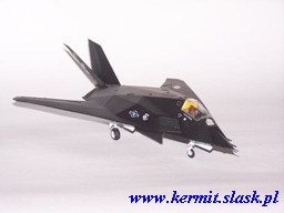 F-117A Nighthawk "Fatal Attraction"