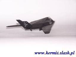 F-117A Nighthawk "Fatal Attraction"
