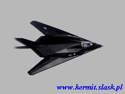 F-117A Nighthawk "Fatal Attraction"