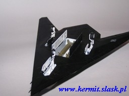 F-117A Nighthawk "Fatal Attraction"