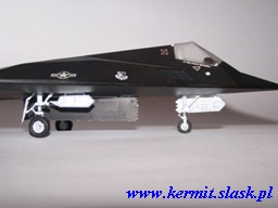 F-117A Stealth Nighthawk "Obsidian"