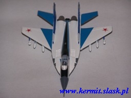 "The Swifts" team's MiG-29 Fulcrum