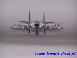 "The Swifts" team's MiG-29 Fulcrum