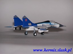 "The Swifts" team's MiG-29 Fulcrum