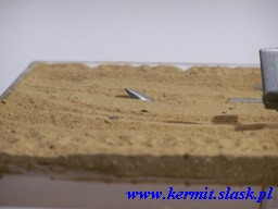 TS-11 Iskra Bis po awaryjnym lądowaniu na plaży