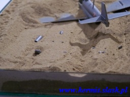 TS-11 Iskra Bis po awaryjnym lądowaniu na plaży