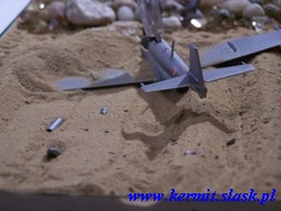 TS-11 Iskra Bis po awaryjnym lądowaniu na plaży