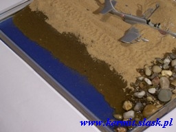 TS-11 Iskra Bis po awaryjnym lądowaniu na plaży