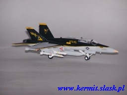 F/A-18C Hornet VFA-115 CAG
