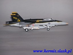 F/A-18C Hornet VFA-115 CAG