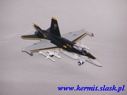F/A-18C Hornet VFA-115 CAG