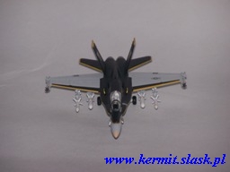 F/A-18C Hornet VFA-115 CAG