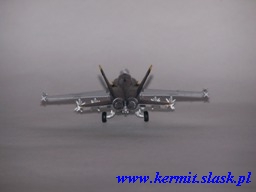 F/A-18C Hornet VFA-115 CAG