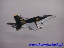 F/A-18C Hornet VFA-115 CAG