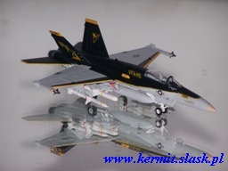 F/A-18C Hornet VFA-115 CAG