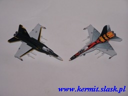 F/A-18C Hornet VFA-115 CAG