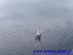 s/y Opty
