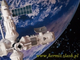Space Station MIR