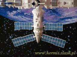 Space Station MIR
