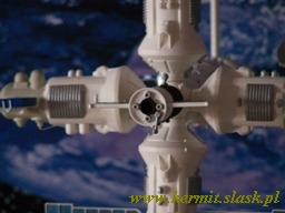 Space Station MIR