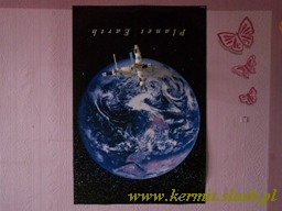 Space Station MIR
