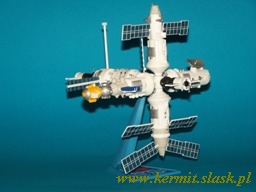 Space Station MIR