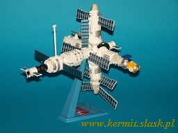 Space Station MIR