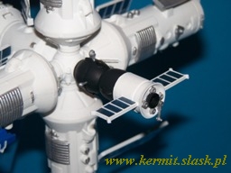 Space Station MIR