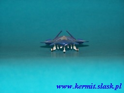 Lockheed F-19 Stealth
